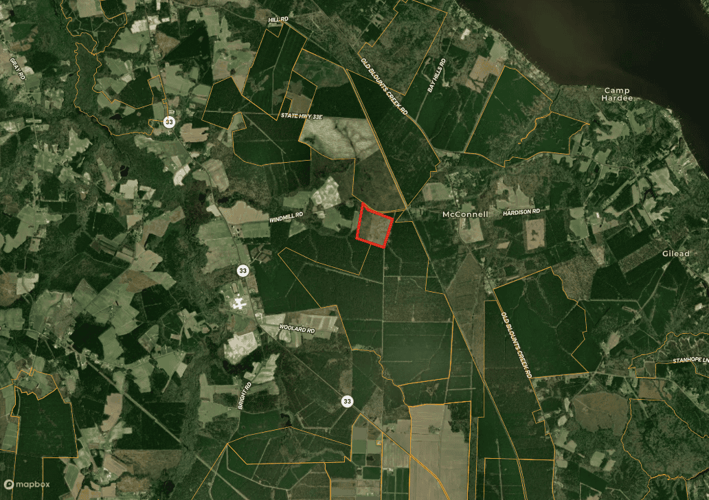 51-Acre Timber & Hunting Tract on Blounts Creek, NC